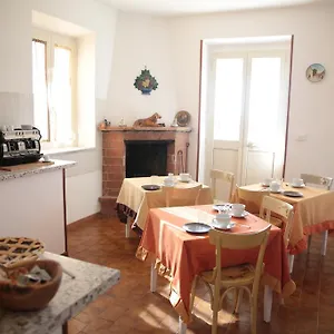 Grappoli Di Sole Rom